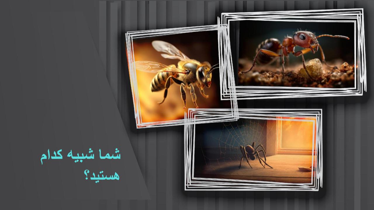 رویکرد زنبور در مواجهه با مگاترند